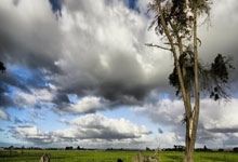 兰博竞技-关于内马尔连续十五场比赛得分超过败北,公牛挑战极限!的信息